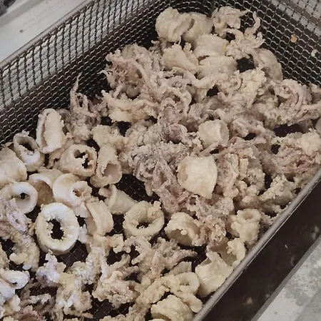 Cavallino Bianco Hotel Rimini