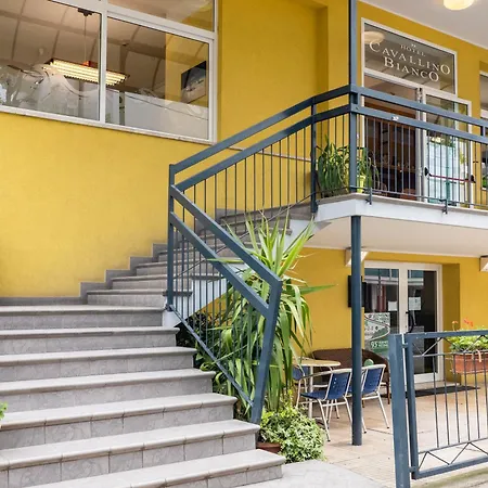 Cavallino Bianco 2* Rimini